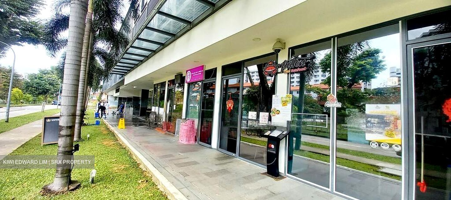 The Promenade@Pelikat (D19), Shop House #458106011